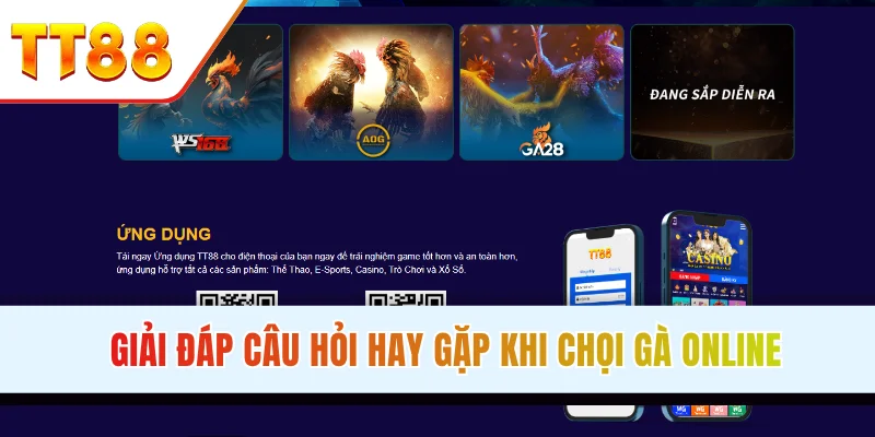 thắc mắc trong chiến kê tại TT88