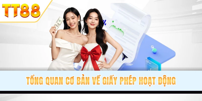 Tổng quan cơ bản về giấy phép hoạt động